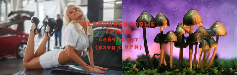 MEGA ONION  Бавлы  Псилоцибиновые грибы ЛСД 